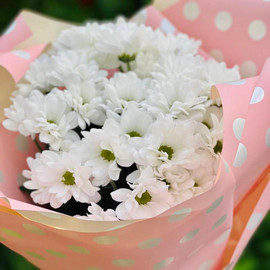 Bouquet of daisies for mom