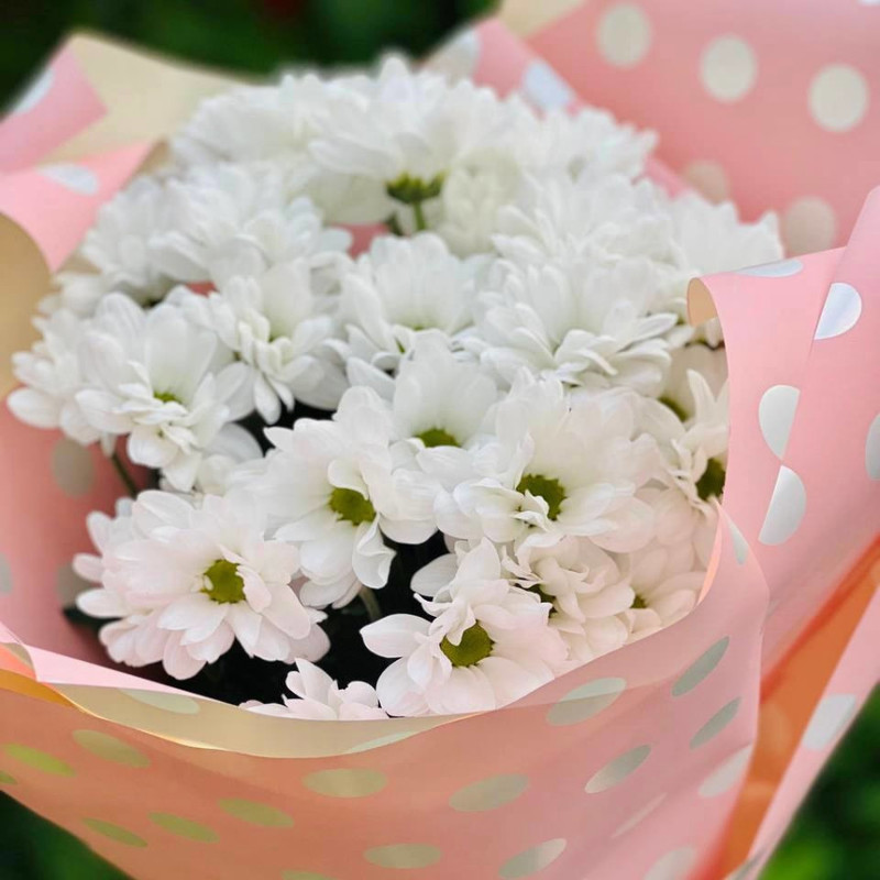 Bouquet of daisies for mom, standart