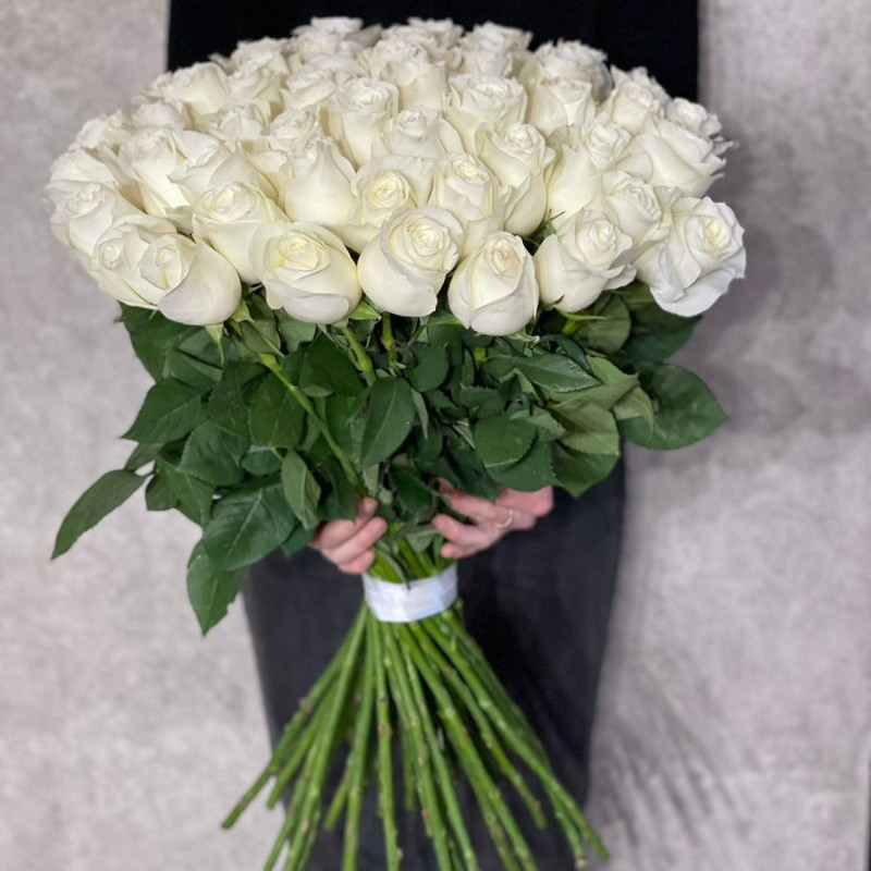 65 White roses, standart