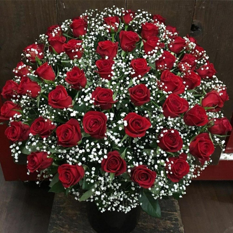 51 red roses with gypsophila, standart