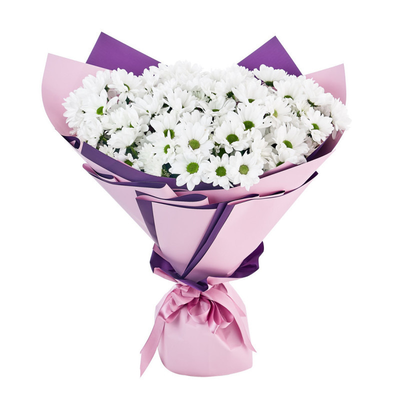 Bouquet of 15 white chamomile chrysanthemums in a package, standart