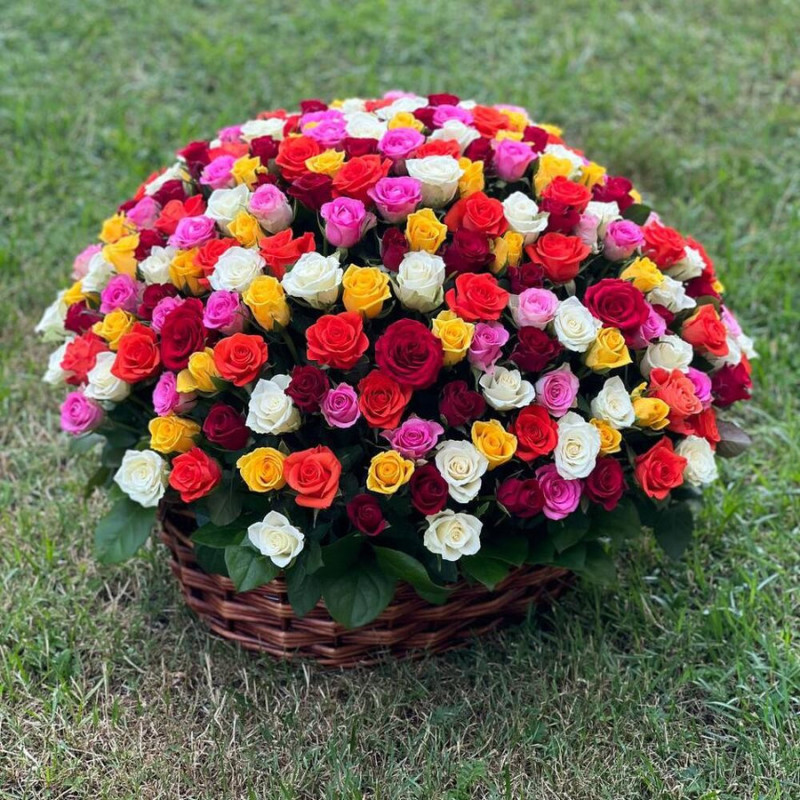 251 Colorful Rose in a Basket, standart