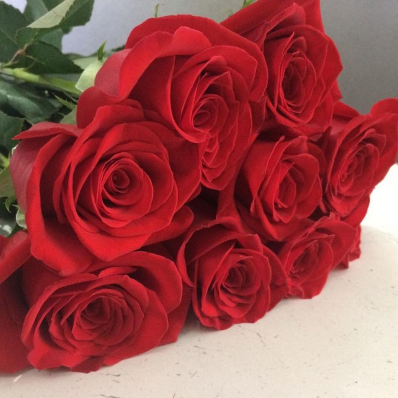 9 roses 70 cm, standart