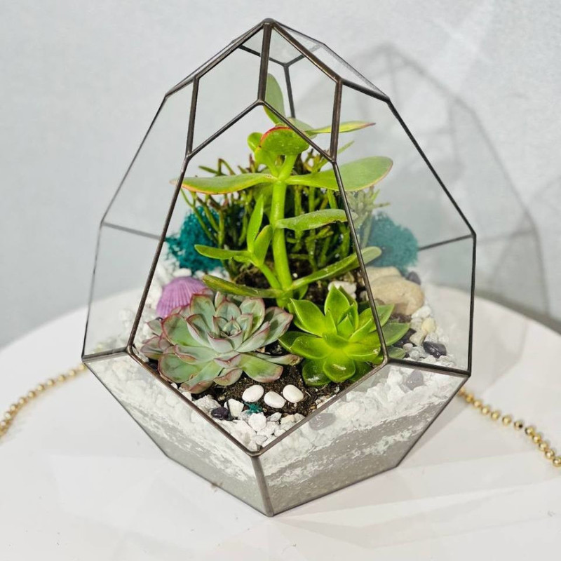 Glass florarium with plants, standart