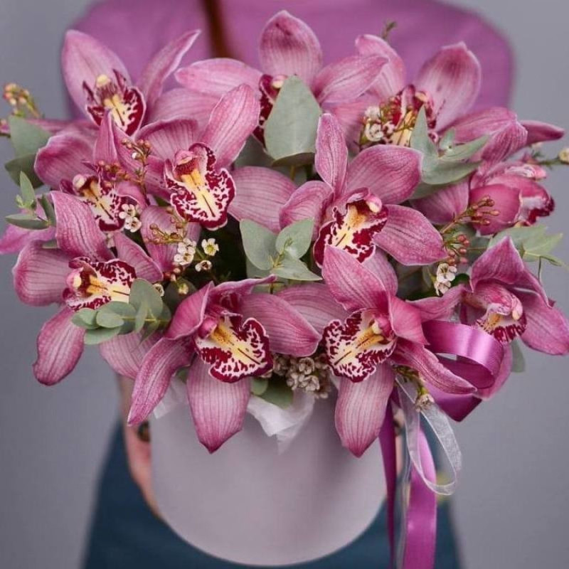 Beauty orchid in a box, standart
