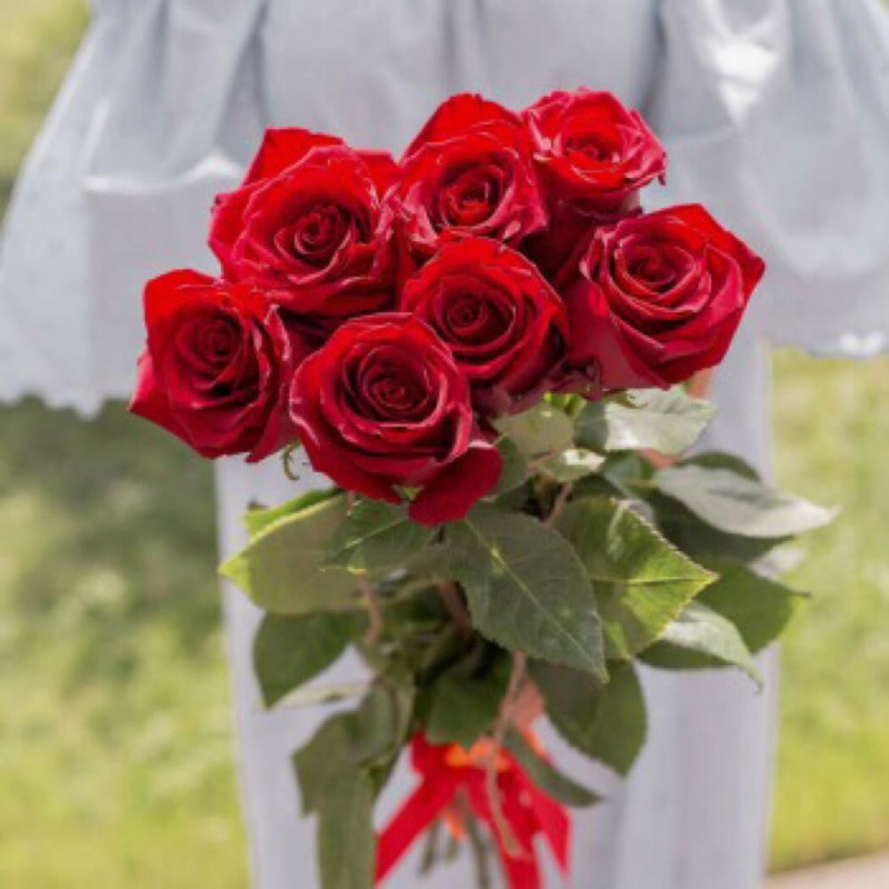7 Red Ecuadorian Roses, standart