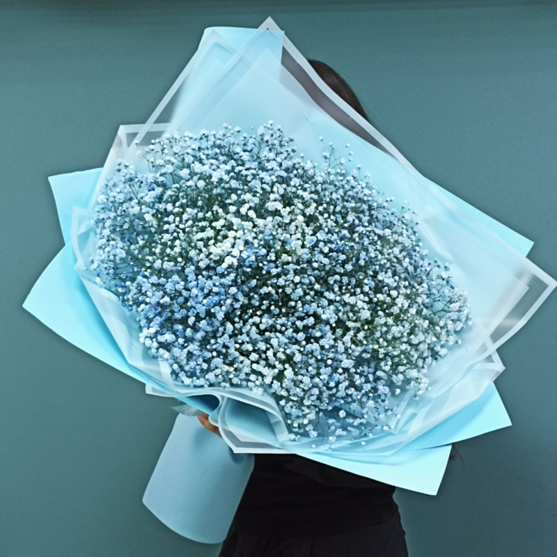 Bouquet of Airy Gypsophila, standart
