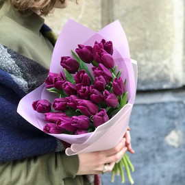 25 фиолетовых тюльпанов в матовой пленке