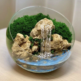 Florarium with a waterfall