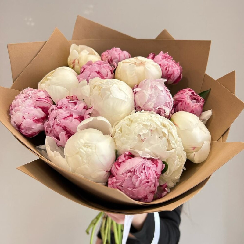 Bouquet of 15 fragrant white and pink peonies, standart