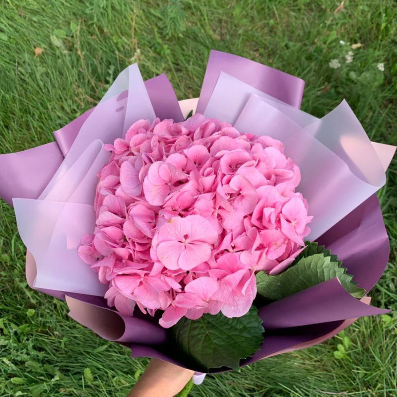 Bouquet "Pink hydrangea", standart