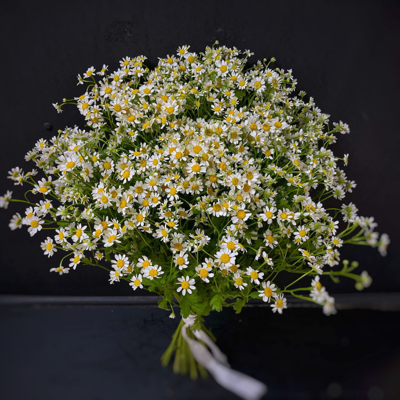 Bouquet of 25 daisies (matricaria) (code 23), standart