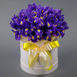 Box "25 blue irises in a white box"