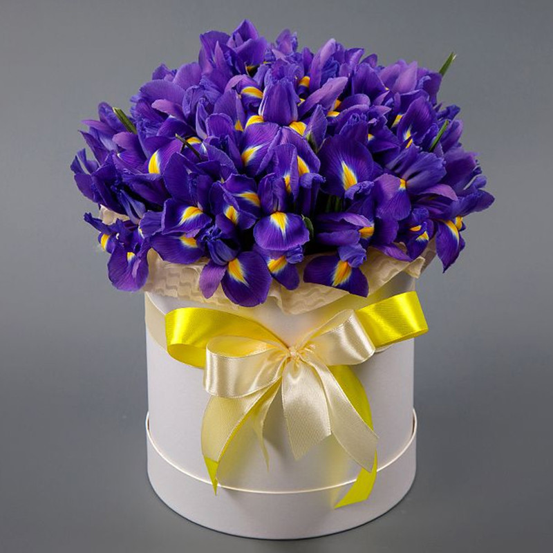 Box "25 blue irises in a white box", standart