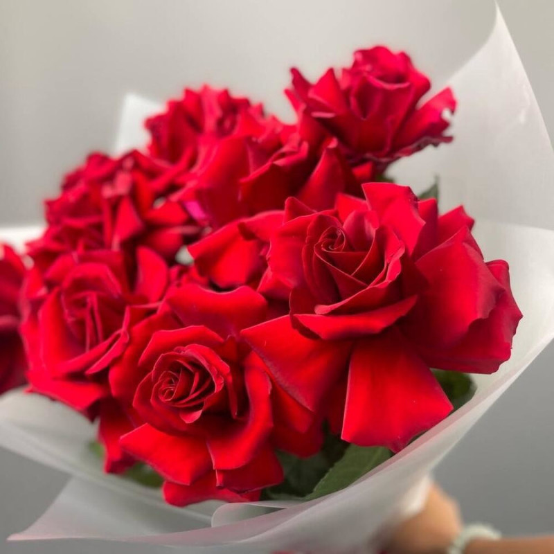 Bouquet of 9 red French roses 50 cm, standart