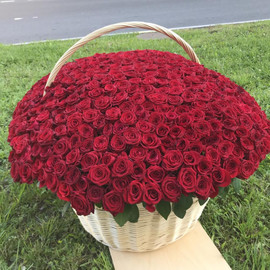 Basket 501 roses