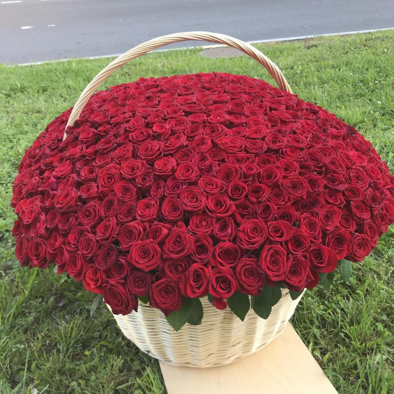 Basket 501 roses, standart