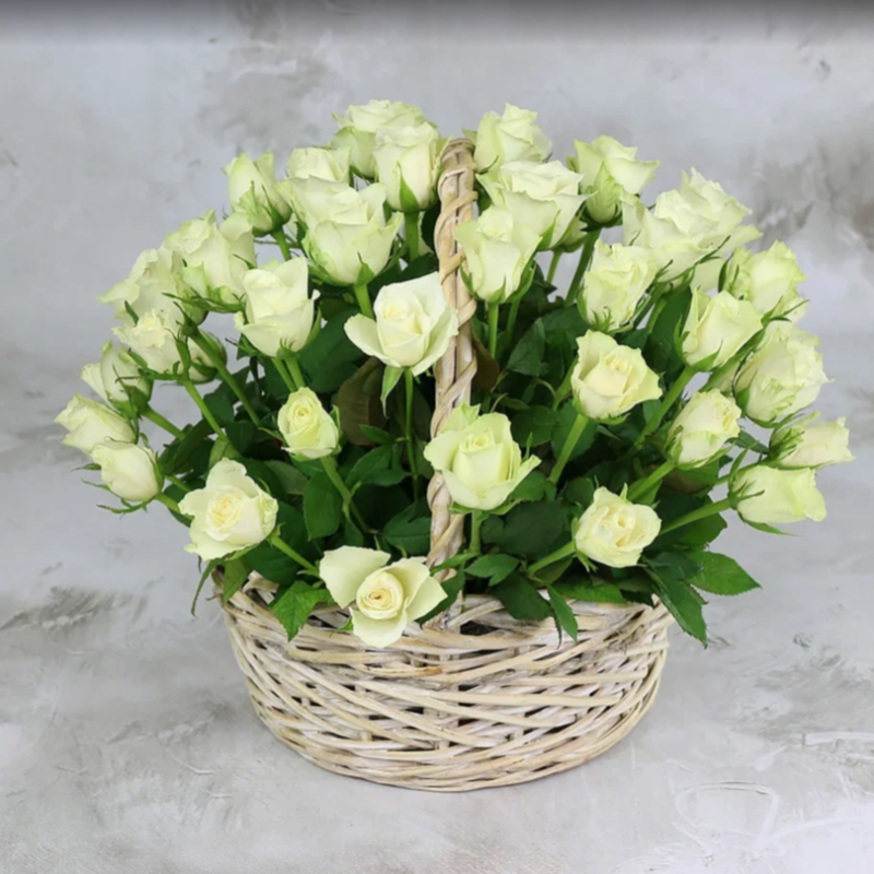 51 white roses 40 cm in a basket, standart