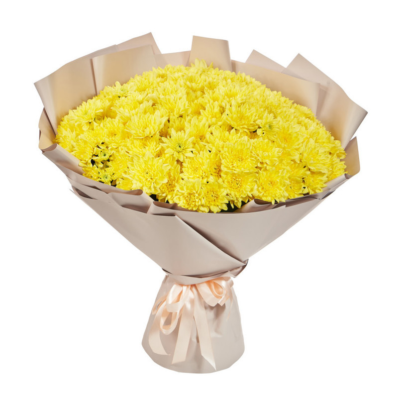 Bouquet of 25 yellow spray chrysanthemums in a package, standart