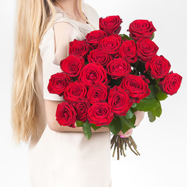 21 rose red 70 cm