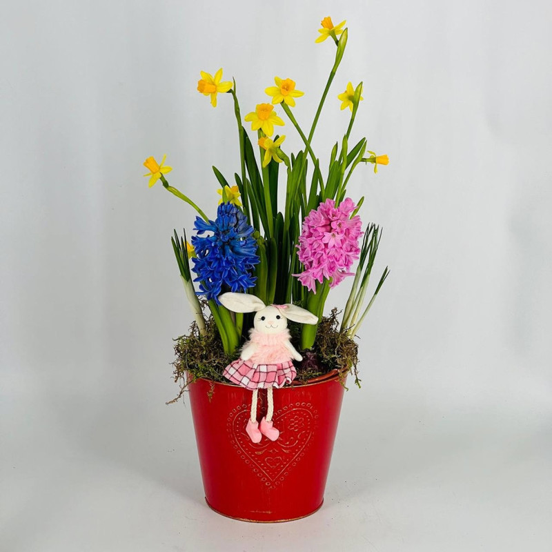 Spring primroses in a tin bucket, standart