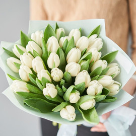 Белые тюльпаны 25шт