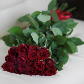 15 красных роз 60 см