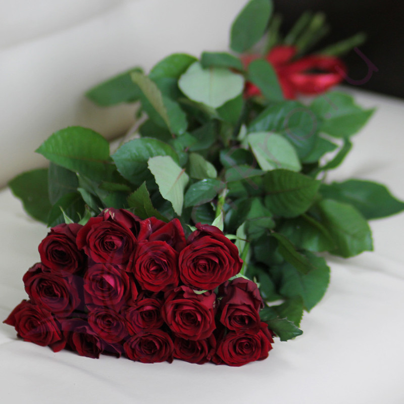 15 red roses 60 cm, standart