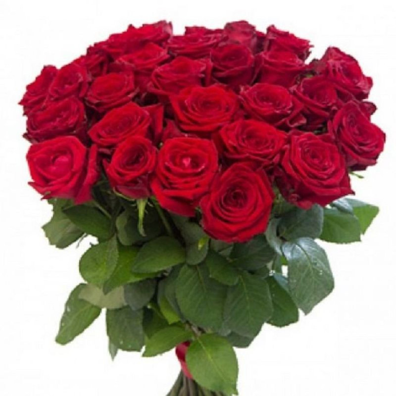 51 красная роза  50 см, стандартный