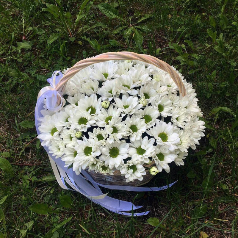 Basket with white chrysanthemum, standart