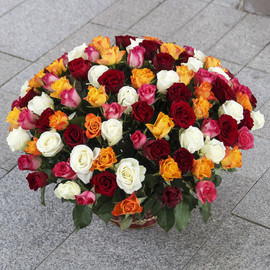 101 rose mix in a basket