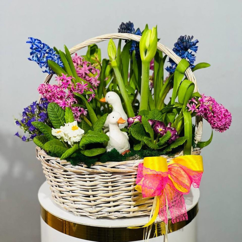 Basket with flowering plants mini garden, standart