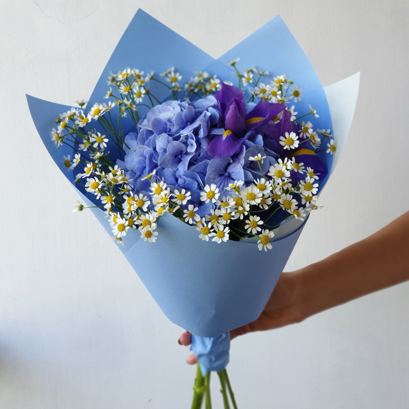 Author's bouquet of hydrangeas, irises and chamomile, standart