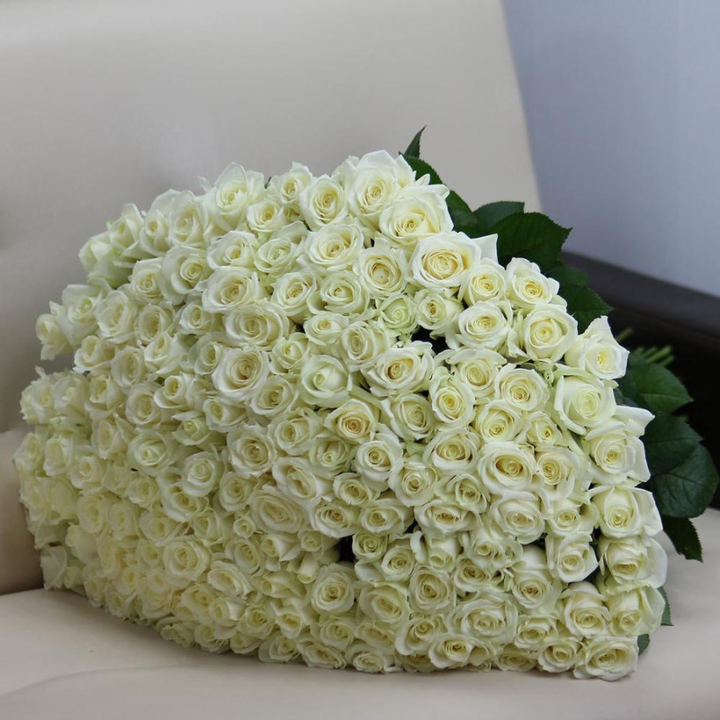 151 белая роза 60 см, стандартный