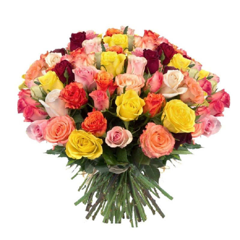51 Multicolored Roses 50cm., standart