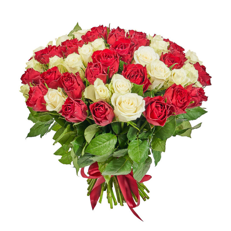 Букет из 51 красно-белой кенийской розы, стандартный