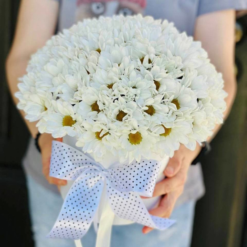 Bouquet of white daisies, standart