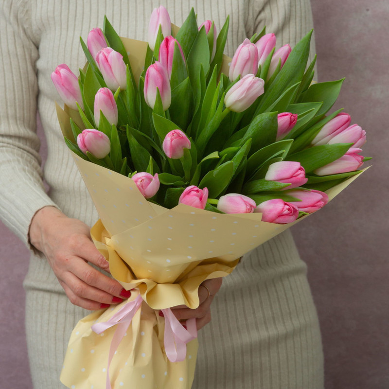 розовые тюльпаны (25), стандартный