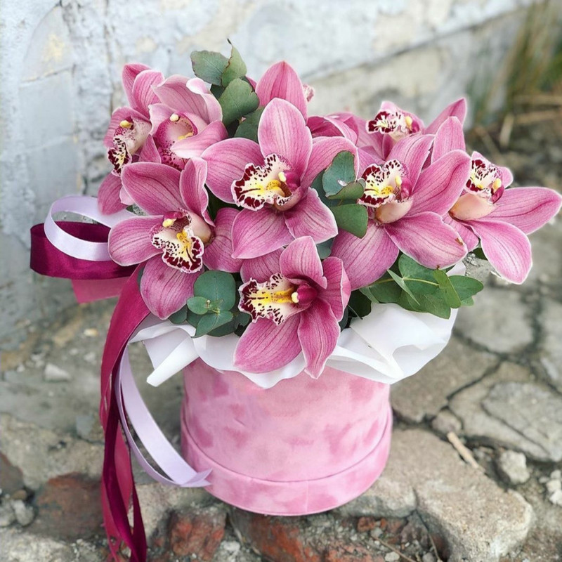 Velvet hat box with wine orchids, standart