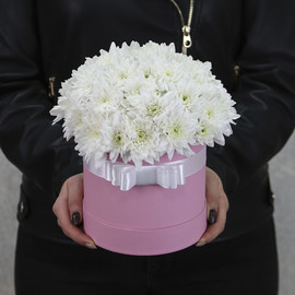 Белые кустовые хризантемы в розовой коробке "Этель"
