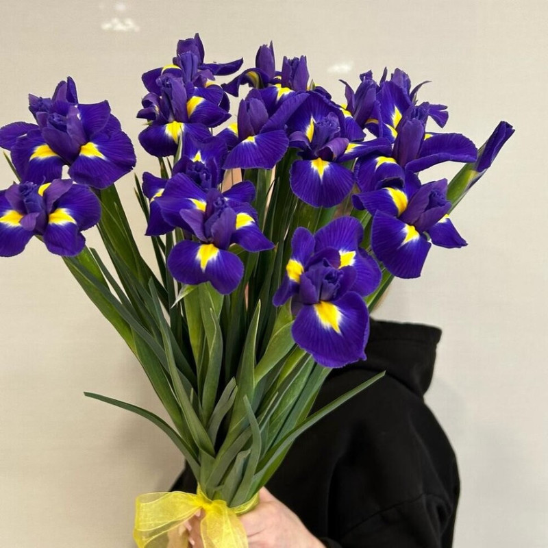 Bouquet of 19 irises in a ribbon, standart