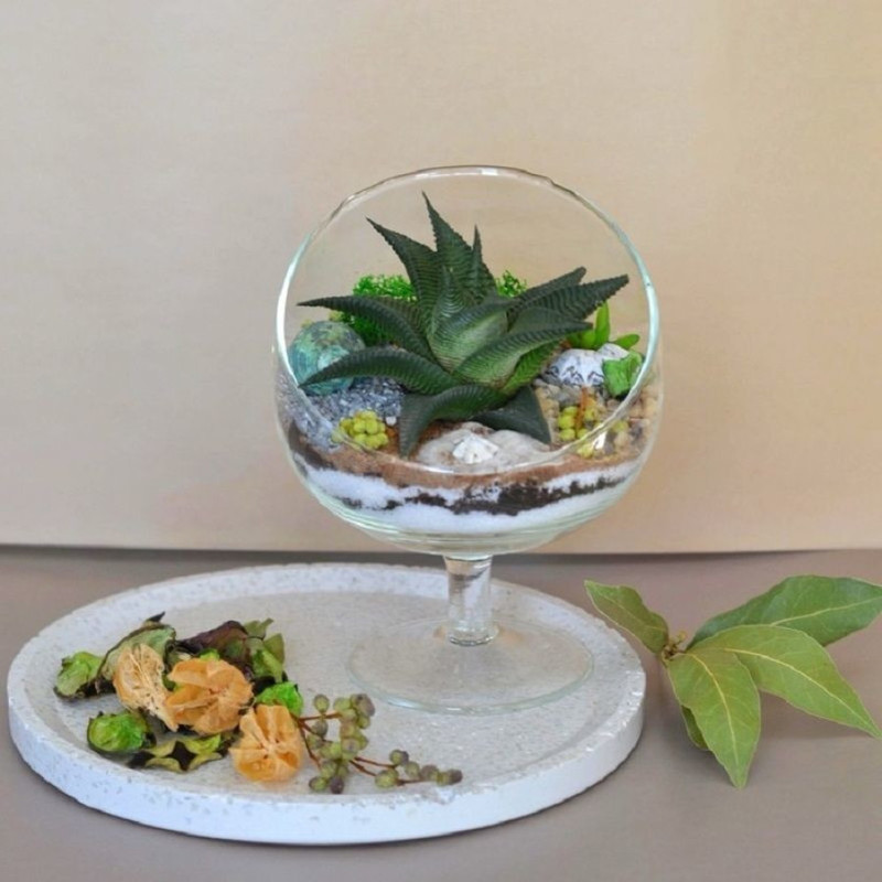 Florarium in a glass, standart