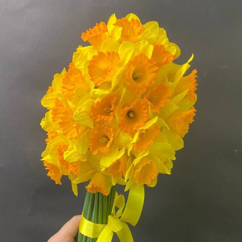 Bouquet of 25 daffodils, standart