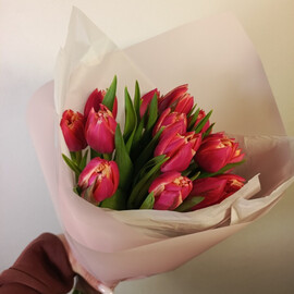 Розовый пионовидный тюльпан 17 шт