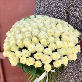 Шикарная ароматная эквадорская 51 роза