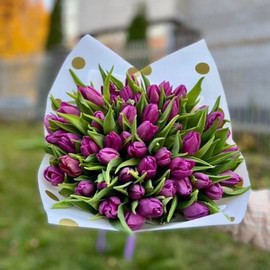 Сиреневые небеса