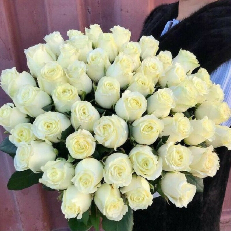 Белая сказка, стандартный