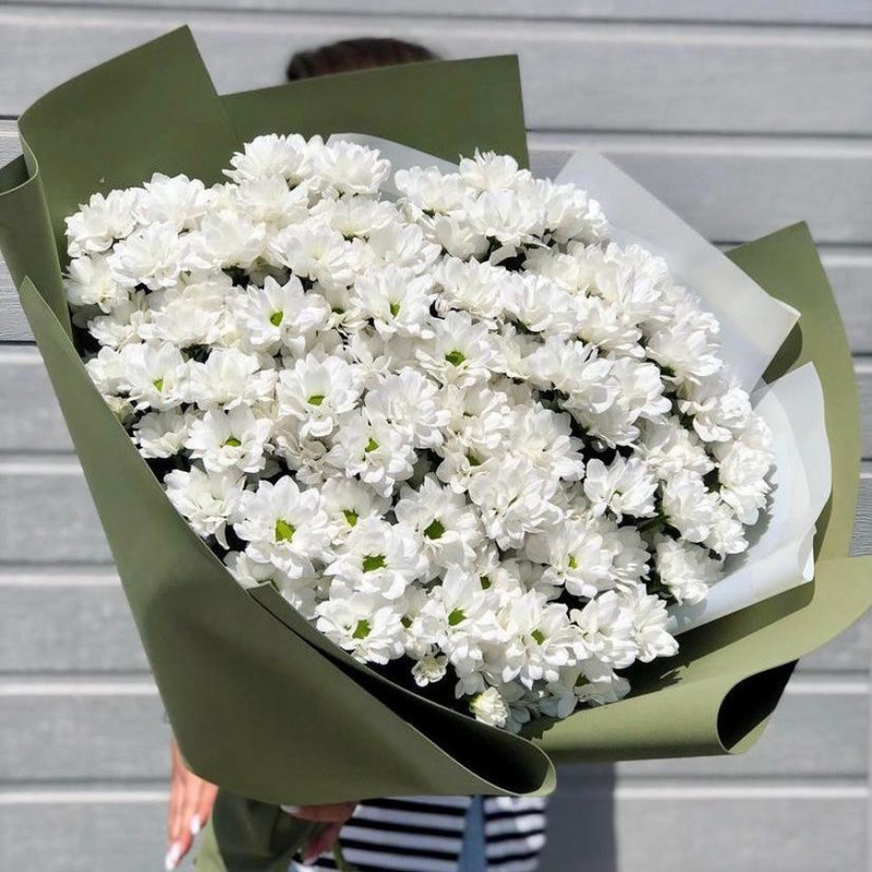 Хризантема в зеленой упаковке, стандартный