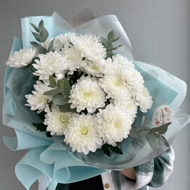 Белая хризантема 