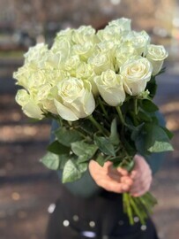 Кенийская роза белая 25 шт